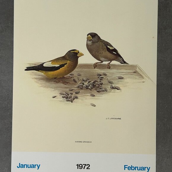 Vintage 1971 & 1972 Calendar Prints J.F. Lansdowne Birds - Picture 7 of 10